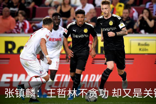 张镇麟：王哲林不贪功 却又是关键时刻能站出来的人 队长当之无愧