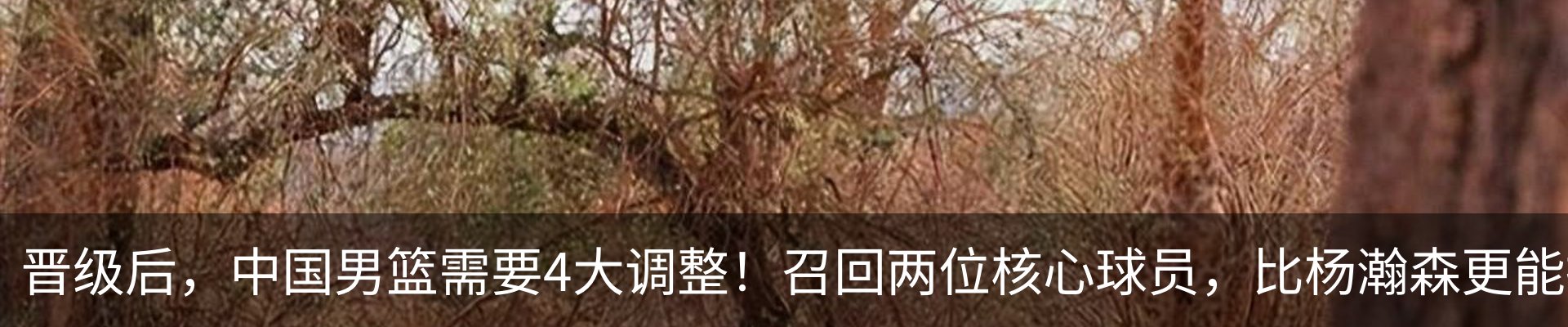 资讯动态