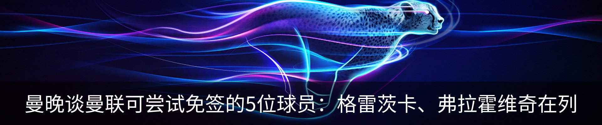 资讯动态